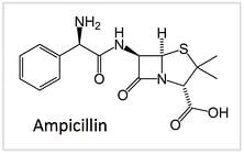 氨苄西林结构