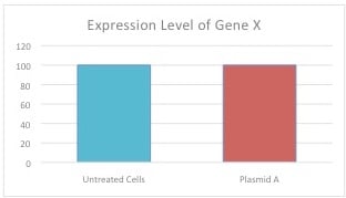 假设的转染数据，表达对基因X的shRNA的质粒A与未处理的细胞相比，对基因X的表达水平没有影响。然而，细胞没有用对照质粒处理。