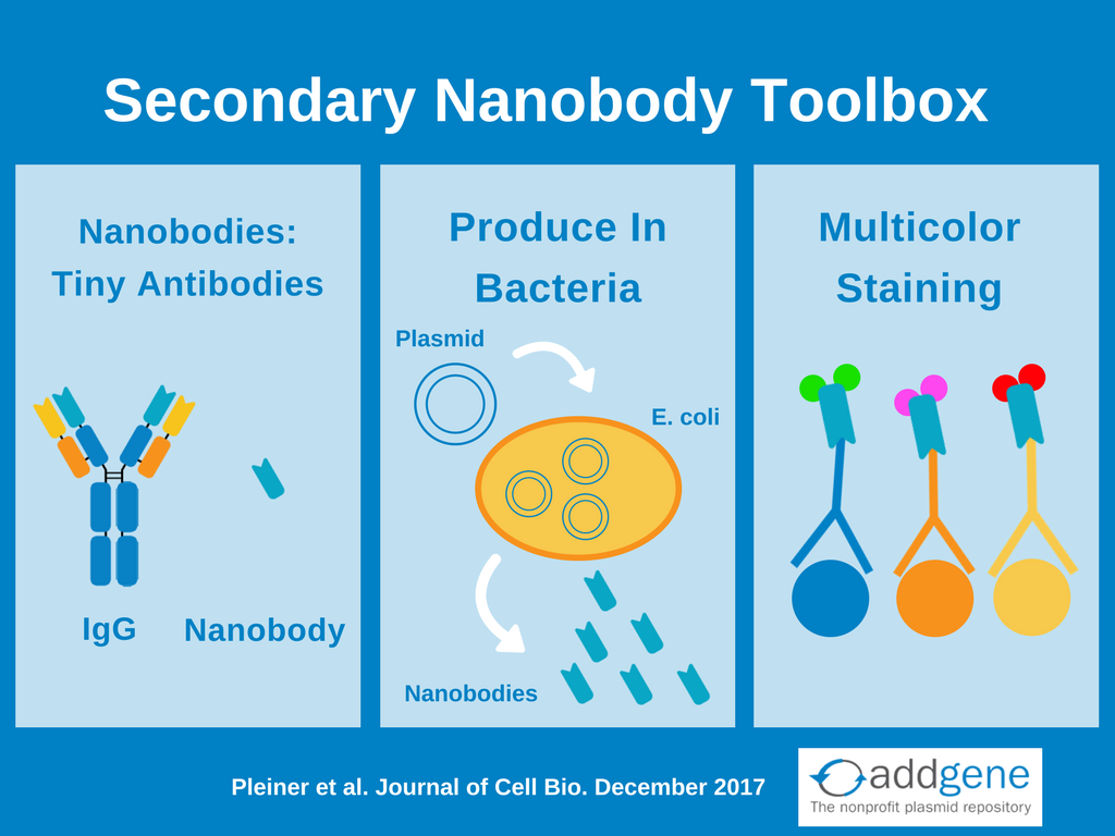 nanobodies_v1.2